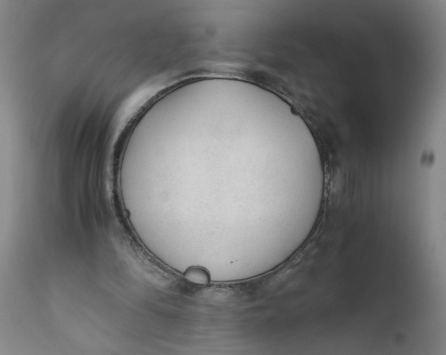 X0000110670294200907021853