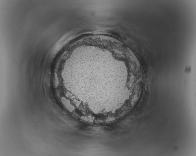 X0000110670295200907021853