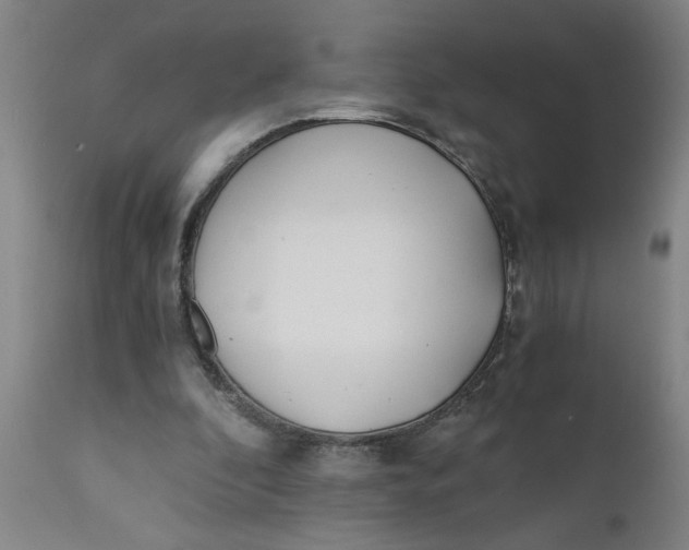 X0000110670296200907021853