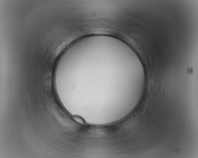X0000110670299200907021853