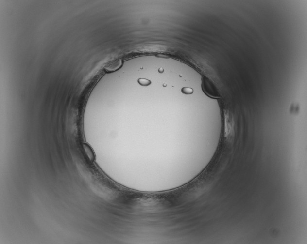 X0000110670300200907021853