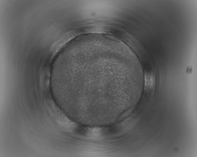 X0000110670301200907021853
