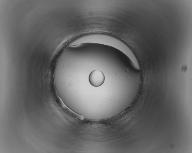 X0000110670304200907021853