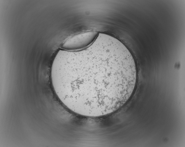 X0000110670305200907021853