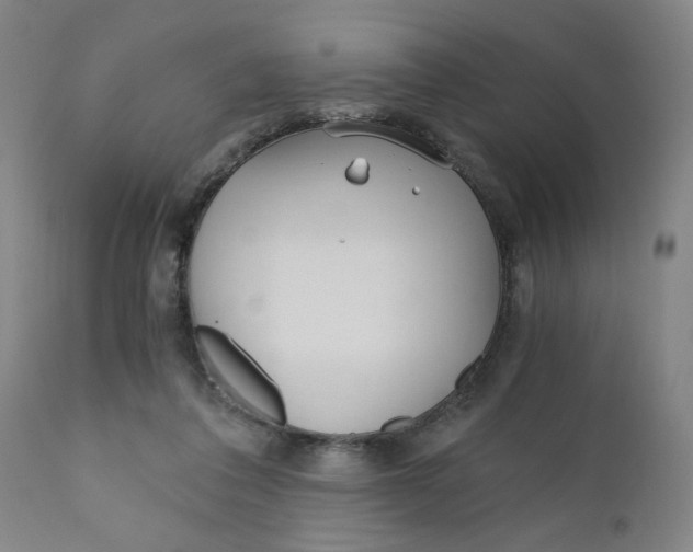 X0000110670308200907021853