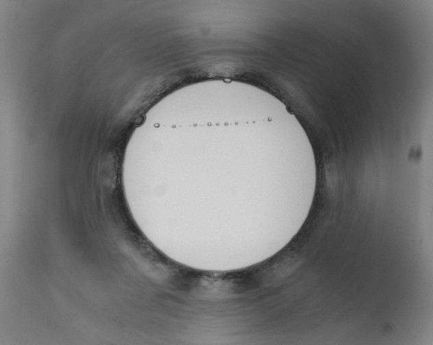 X0000110670311200907021853