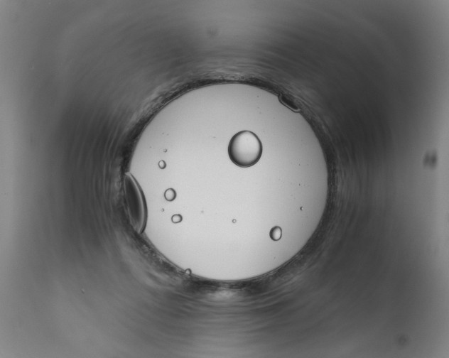 X0000110670312200907021853