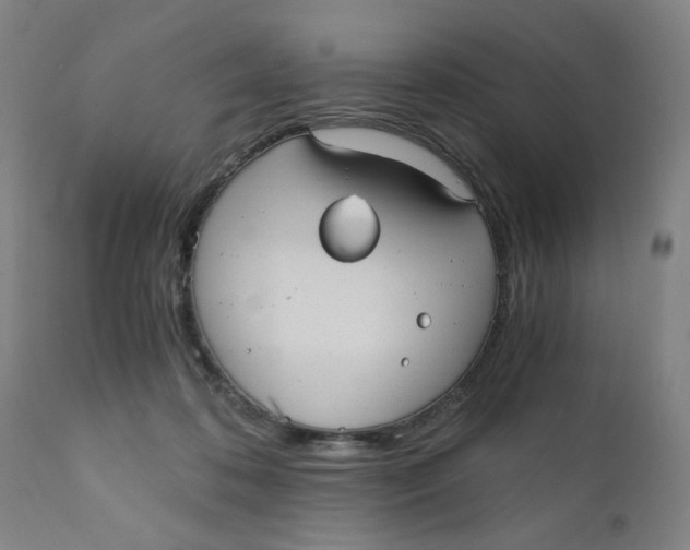 X0000110670316200907021853