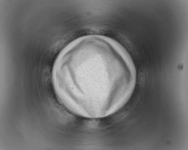X0000110670318200907021852