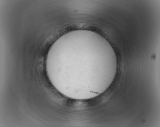 X0000110670319200907021852
