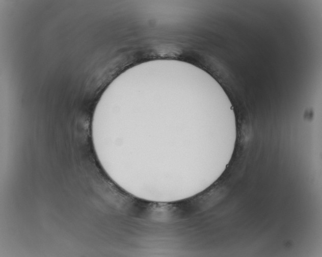 X0000110670321200907021852