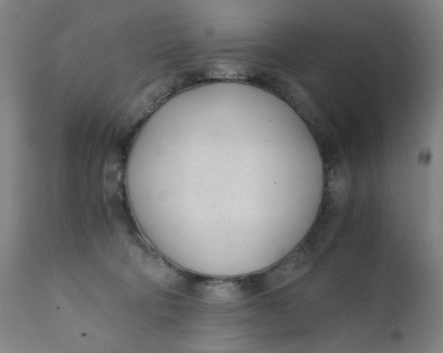 X0000110670322200907021852