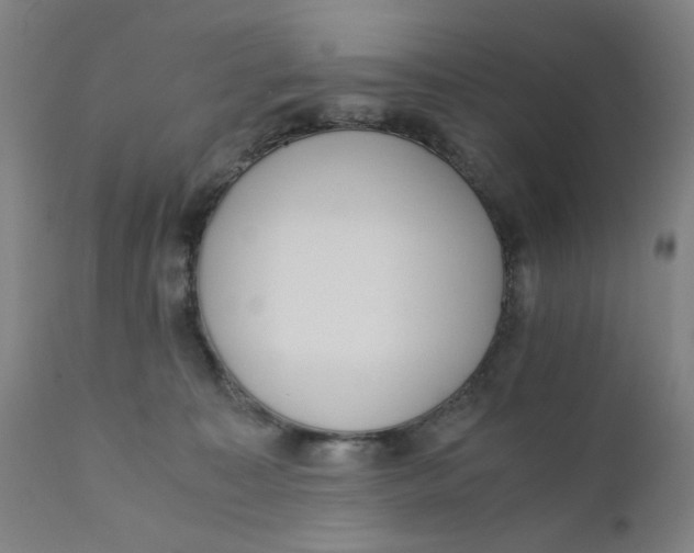 X0000110670323200907021852