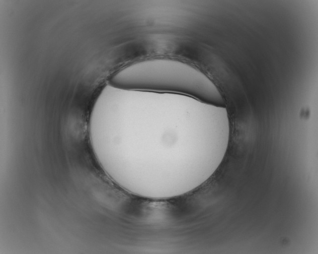 X0000110670324200907021852