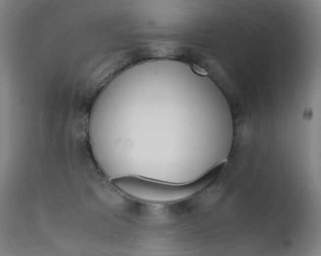 X0000110670325200907021852