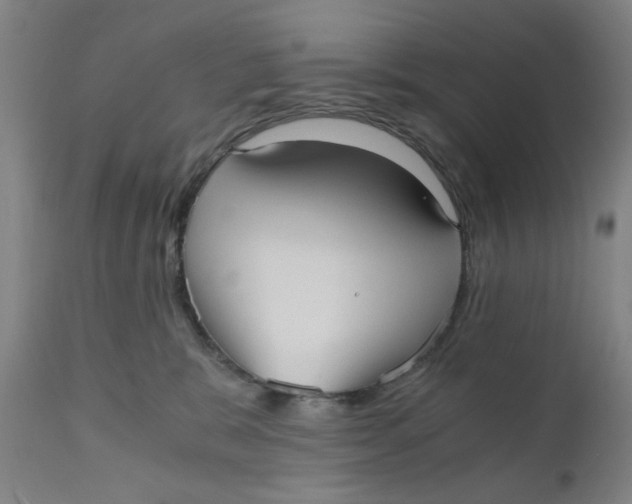 X0000110670327200907021852
