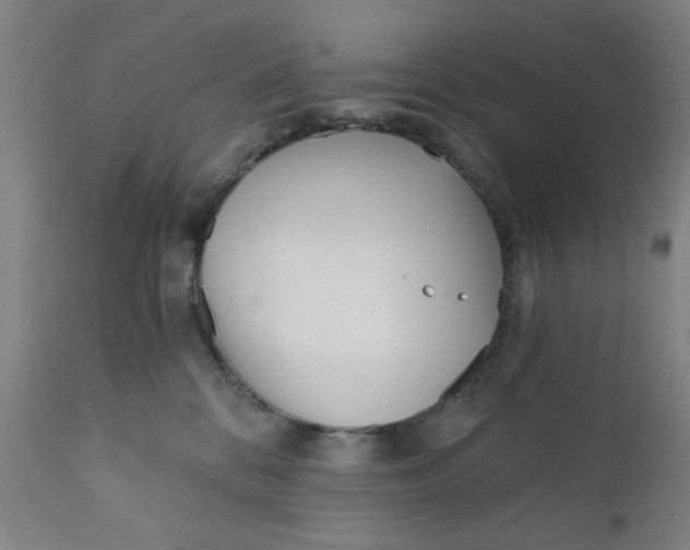 X0000110670328200907021852