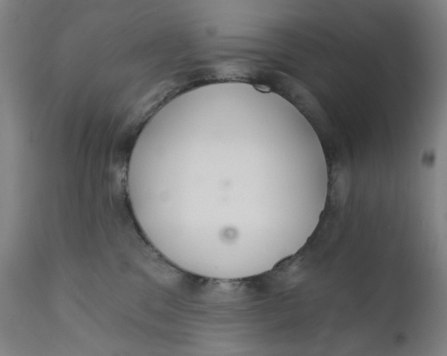 X0000110670329200907021852