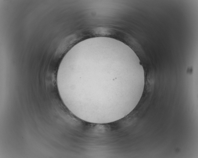 X0000110670330200907021852
