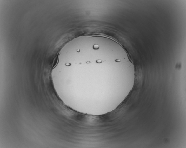 X0000110670333200907021852