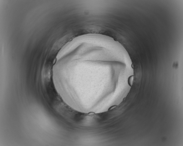 X0000110670334200907021852