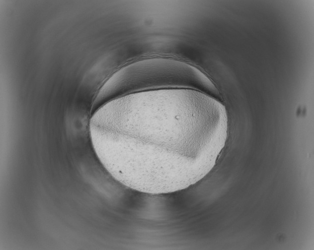 X0000110670336200907021852