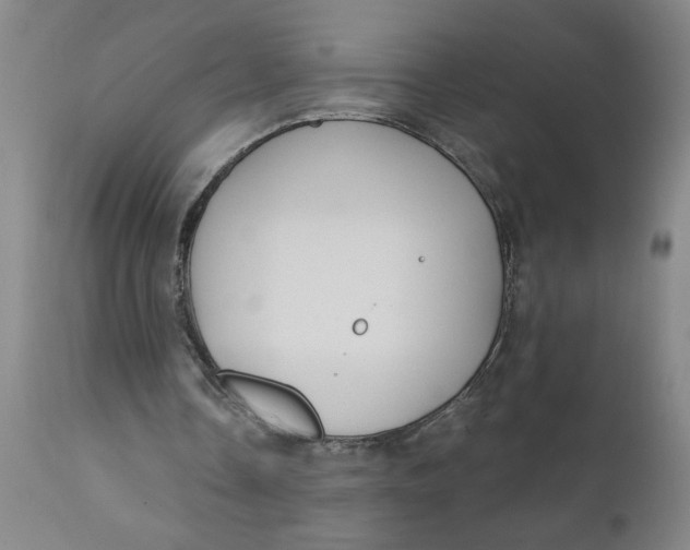 X0000110670338200907021851