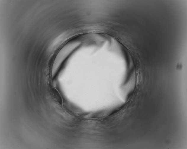 X0000110670339200907021851