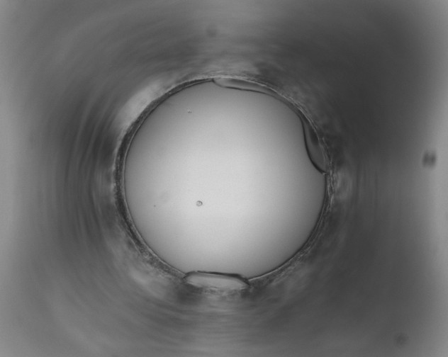 X0000110670340200907021851