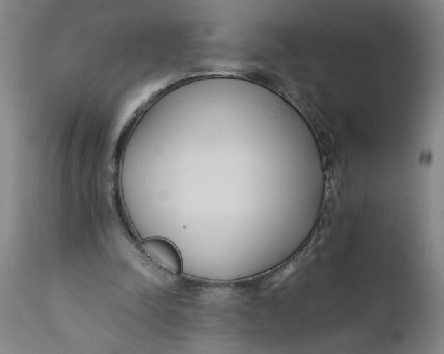 X0000110670342200907021851