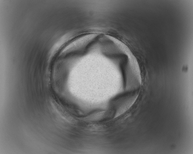 X0000110670343200907021851