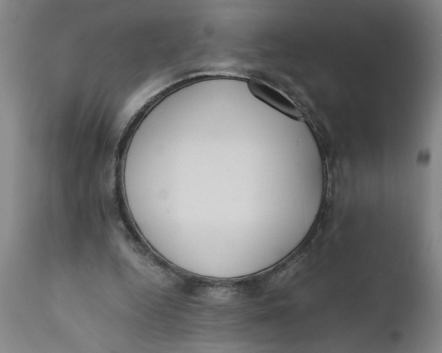 X0000110670344200907021851