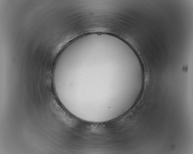 X0000110670345200907021851