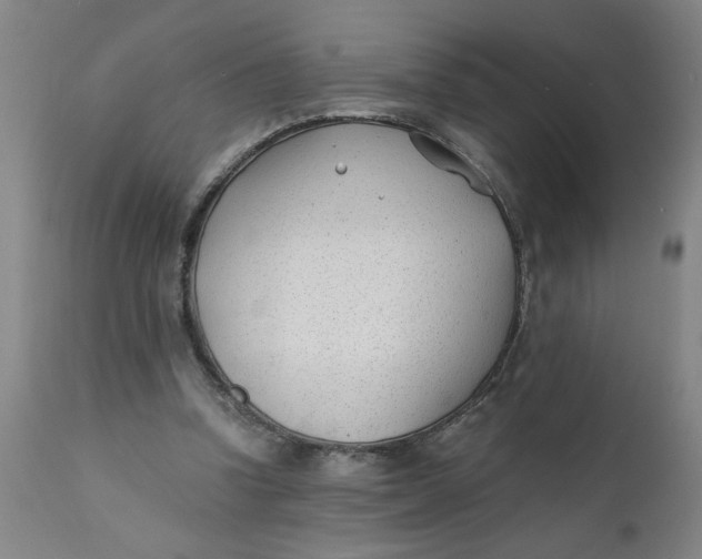 X0000110670346200907021851