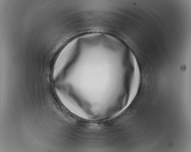 X0000110670347200907021851