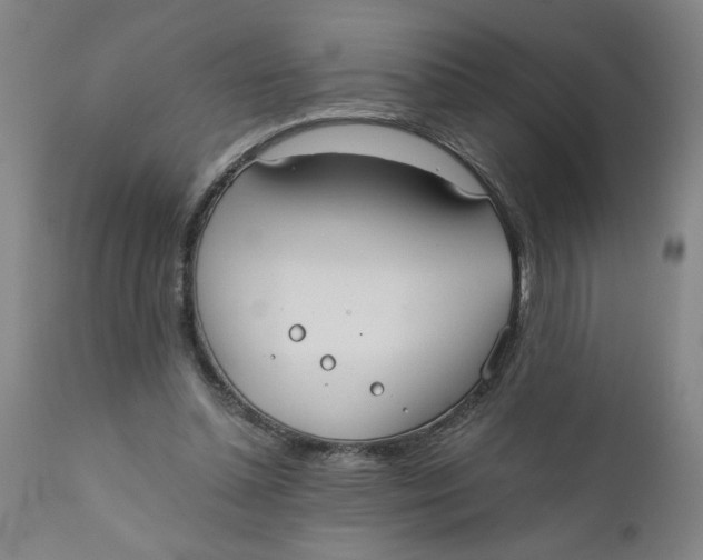 X0000110670348200907021851