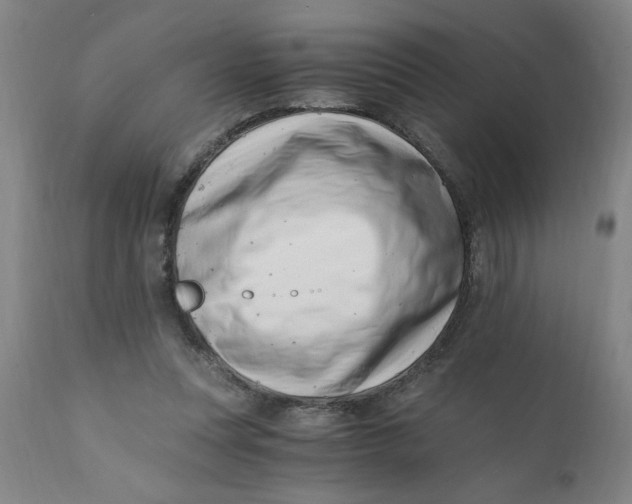 X0000110670351200907021852