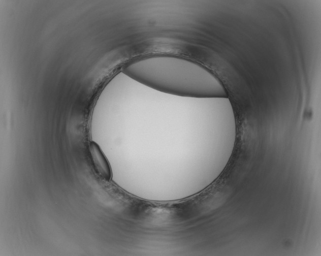 X0000110670352200907021852