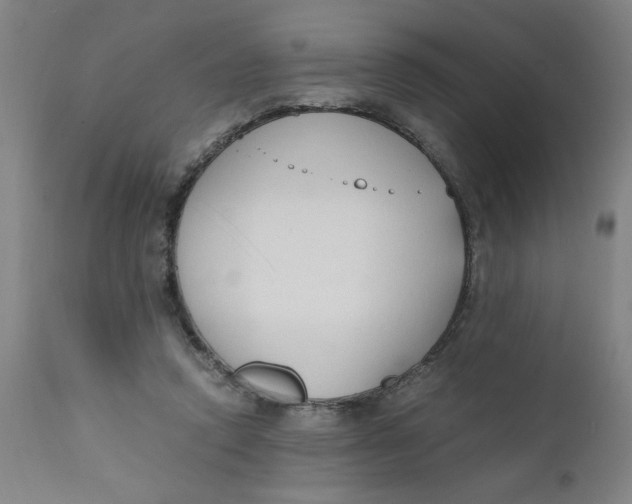 X0000110670354200907021852