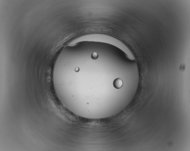 X0000110670356200907021852