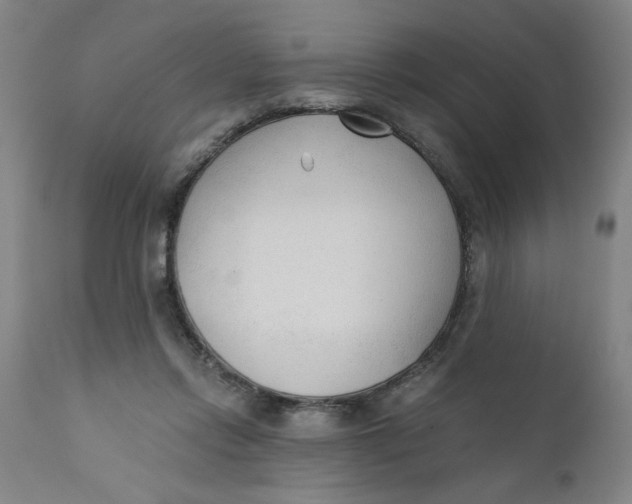 X0000110670358200907021852