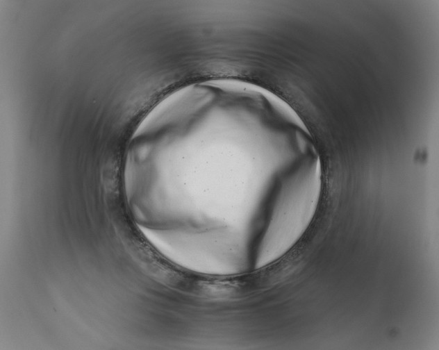 X0000110670359200907021852