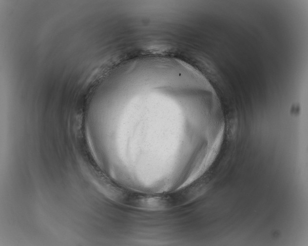 X0000110670365200907021852