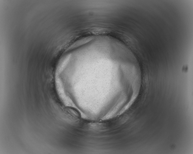 X0000110670367200907021852