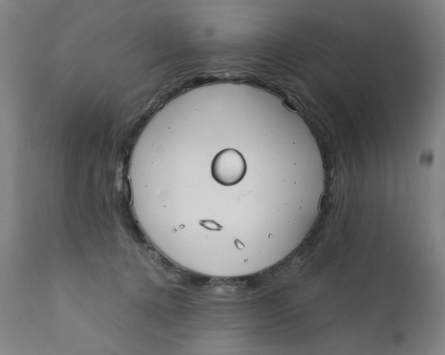 X0000110670368200907021852