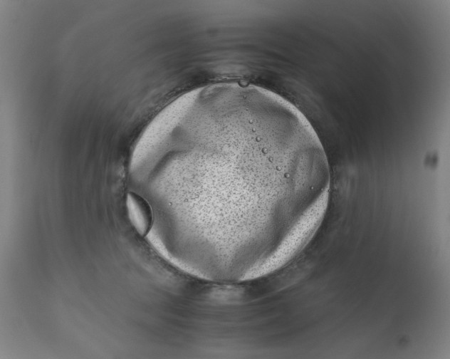 X0000110670369200907021852