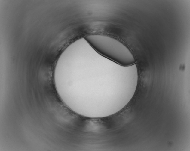 X0000110670372200907021852
