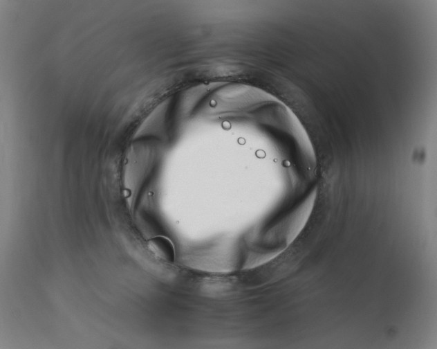 X0000110670373200907021852