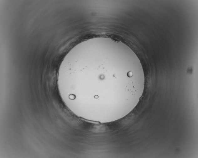 X0000110670376200907021852