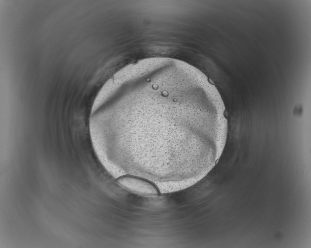 X0000110670377200907021852